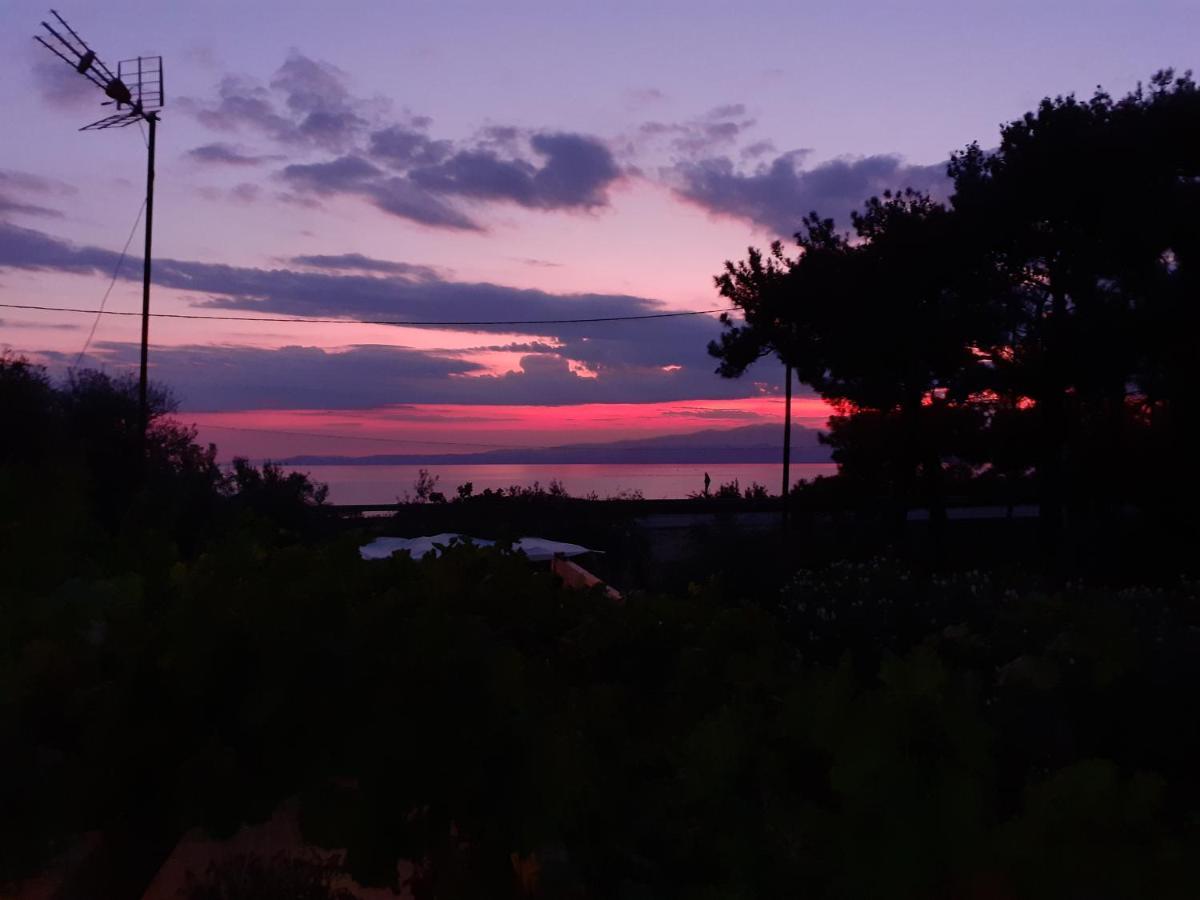 Το Σπίτι Με Το Πηγάδι - Wellcottage Thassos Skala Kallirakhis Bagian luar foto