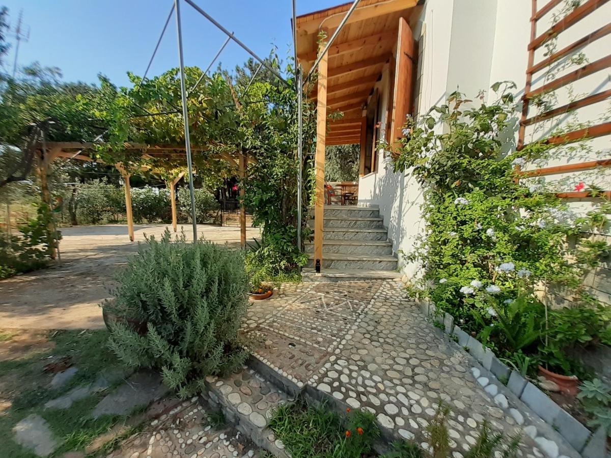 Το Σπίτι Με Το Πηγάδι - Wellcottage Thassos Skala Kallirakhis Bagian luar foto