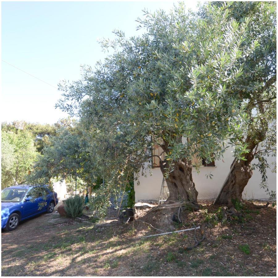 Το Σπίτι Με Το Πηγάδι - Wellcottage Thassos Skala Kallirakhis Bagian luar foto