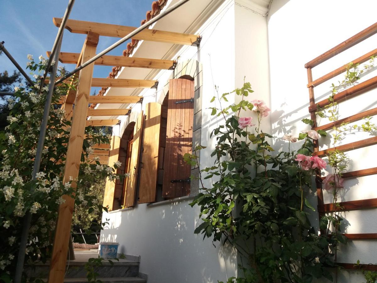 Το Σπίτι Με Το Πηγάδι - Wellcottage Thassos Skala Kallirakhis Bagian luar foto